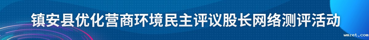 镇安县优化营商环境民主评议股长网络测评活动